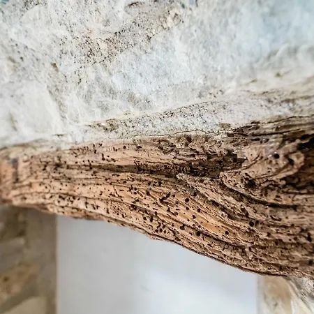 Feel - Cozy Old Town Διαμέρισμα