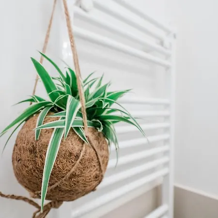 Feel - Cozy Old Town 아파트 *