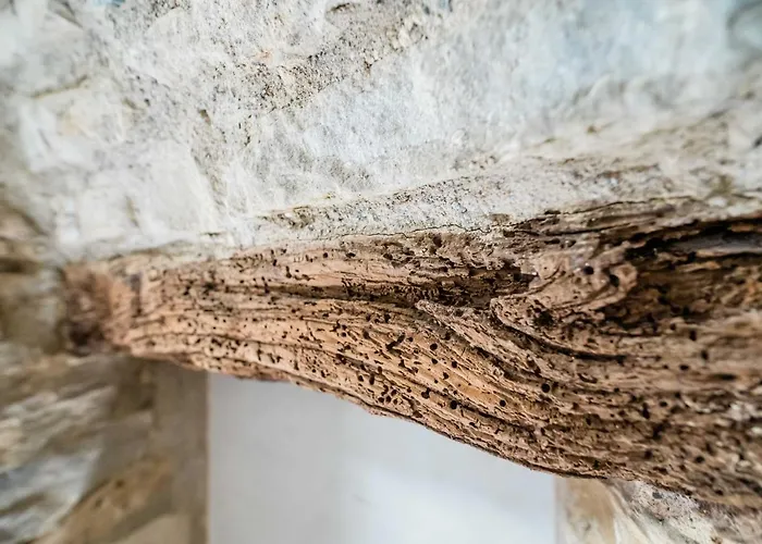 Feel - Cozy Old Town Lejlighed