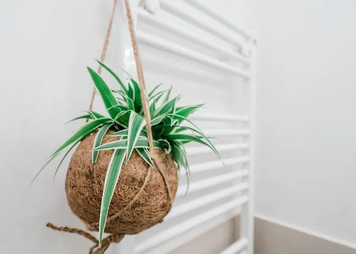 Feel - Cozy Old Town 아파트 *